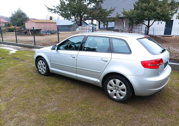 Audi A3 cena 27500 przebieg: 240120, rok produkcji 2010 z Murowana Goślina małe 92